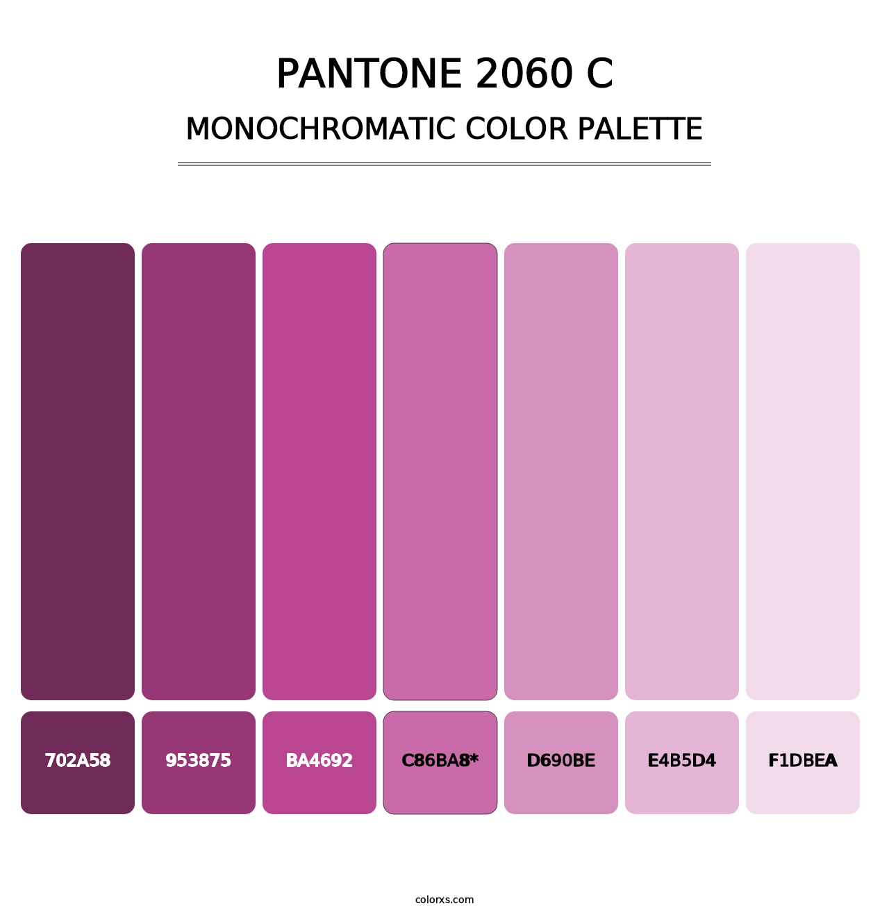 PANTONE 2060 C - Monochromatic Color Palette