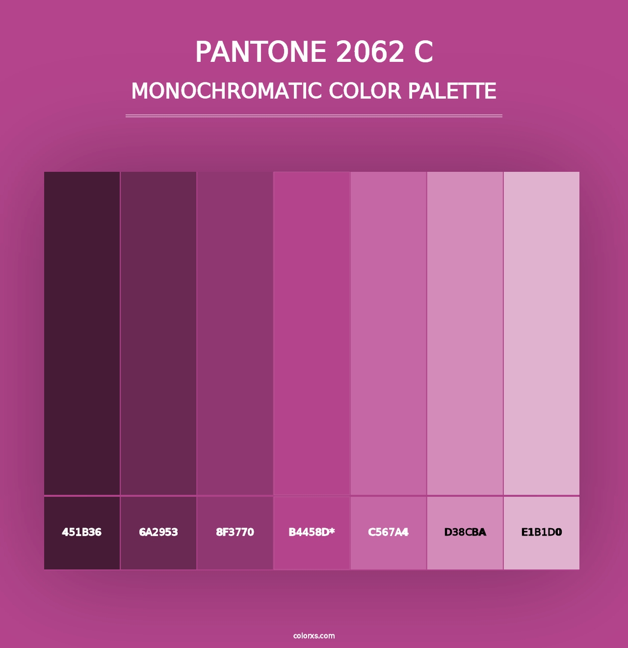 PANTONE 2062 C - Monochromatic Color Palette