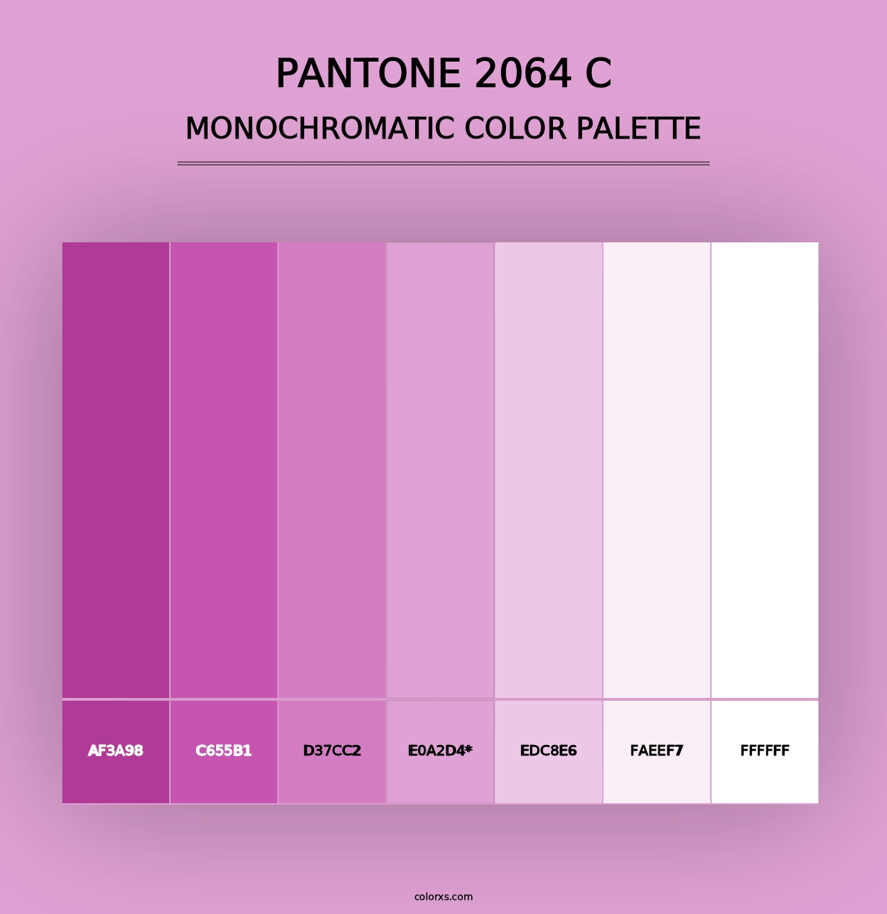 PANTONE 2064 C - Monochromatic Color Palette