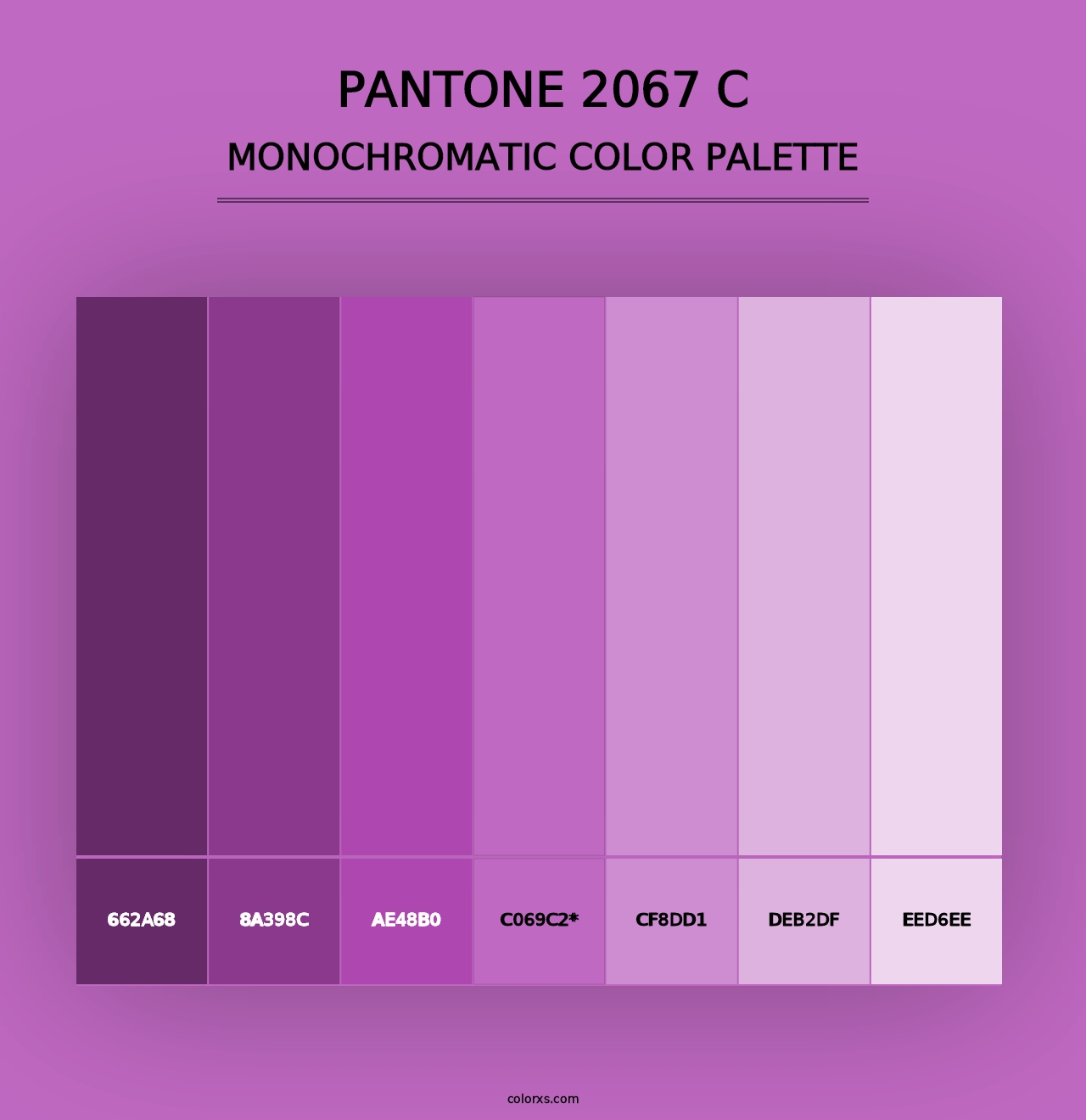 PANTONE 2067 C - Monochromatic Color Palette