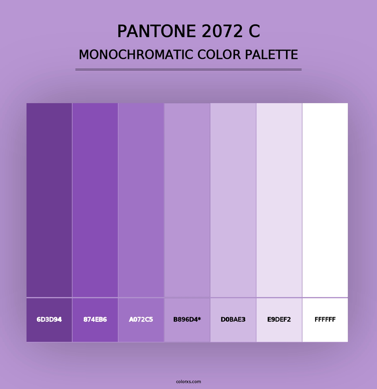 PANTONE 2072 C - Monochromatic Color Palette