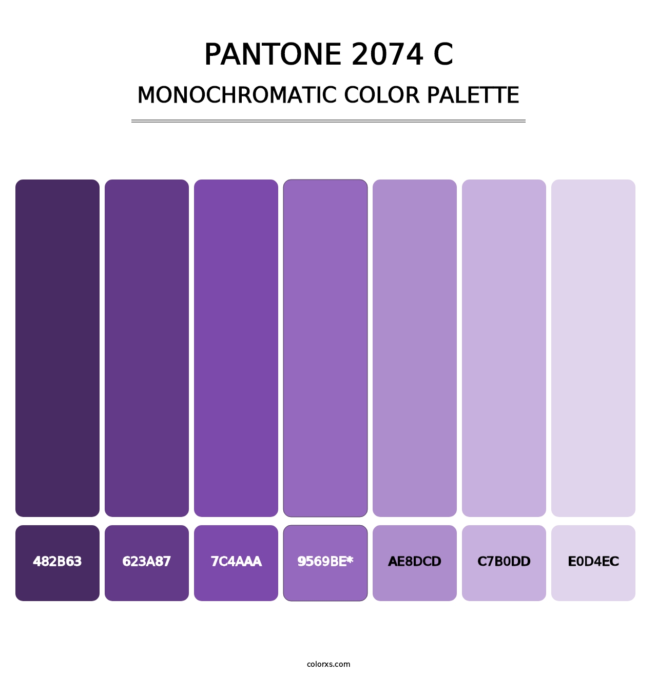 PANTONE 2074 C - Monochromatic Color Palette