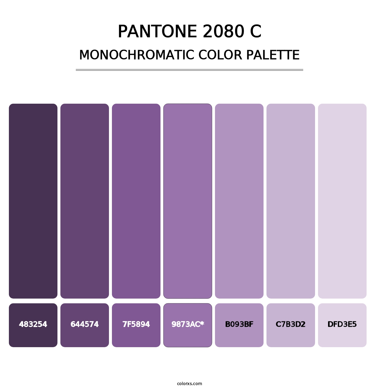 PANTONE 2080 C - Monochromatic Color Palette