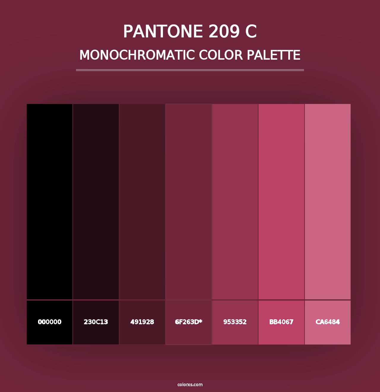 PANTONE 209 C - Monochromatic Color Palette