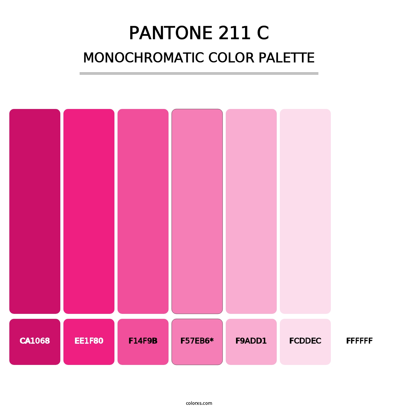 PANTONE 211 C - Monochromatic Color Palette