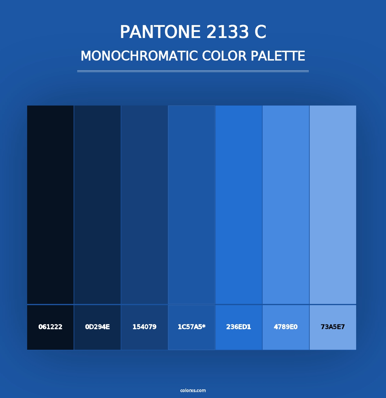 PANTONE 2133 C - Monochromatic Color Palette