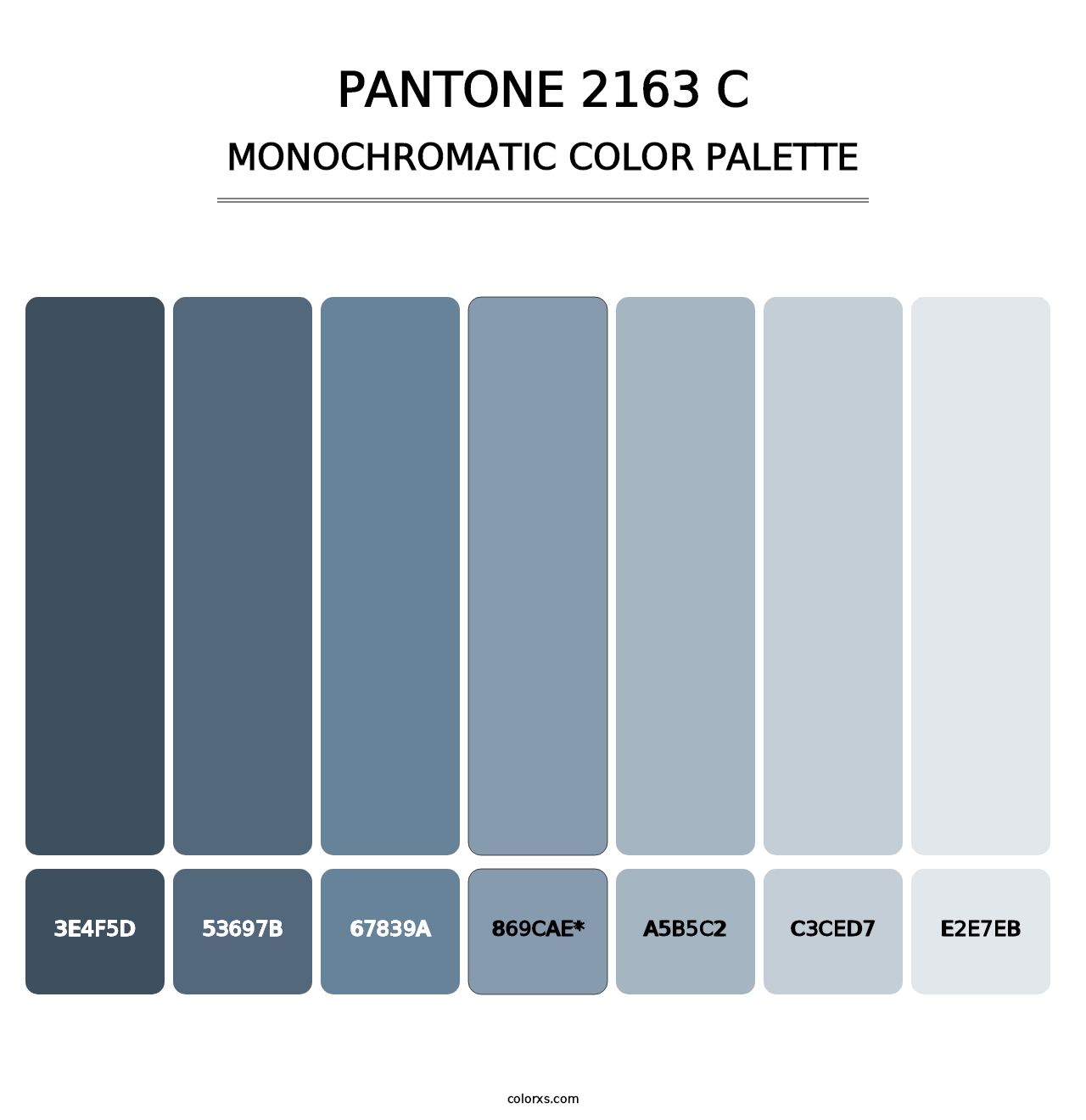 PANTONE 2163 C - Monochromatic Color Palette