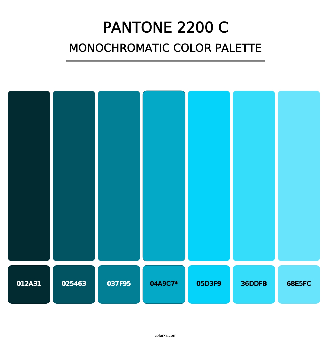 PANTONE 2200 C - Monochromatic Color Palette