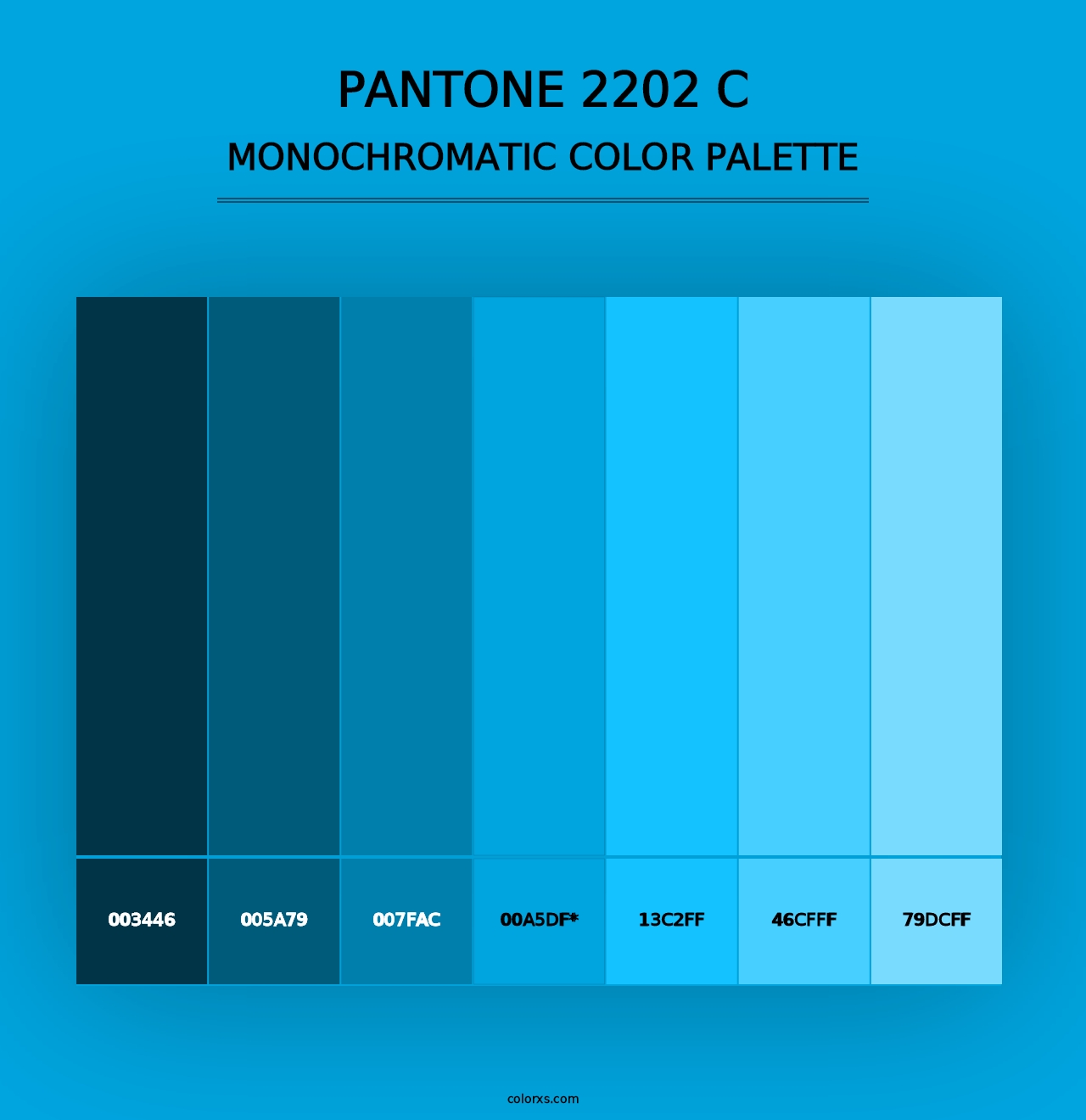 PANTONE 2202 C - Monochromatic Color Palette