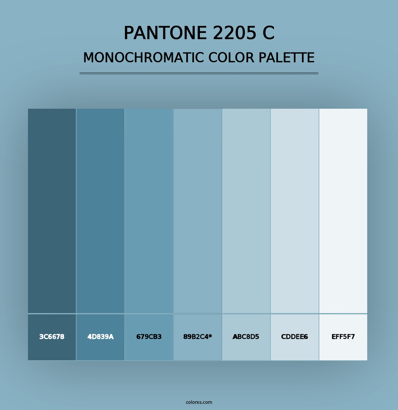 PANTONE 2205 C - Monochromatic Color Palette