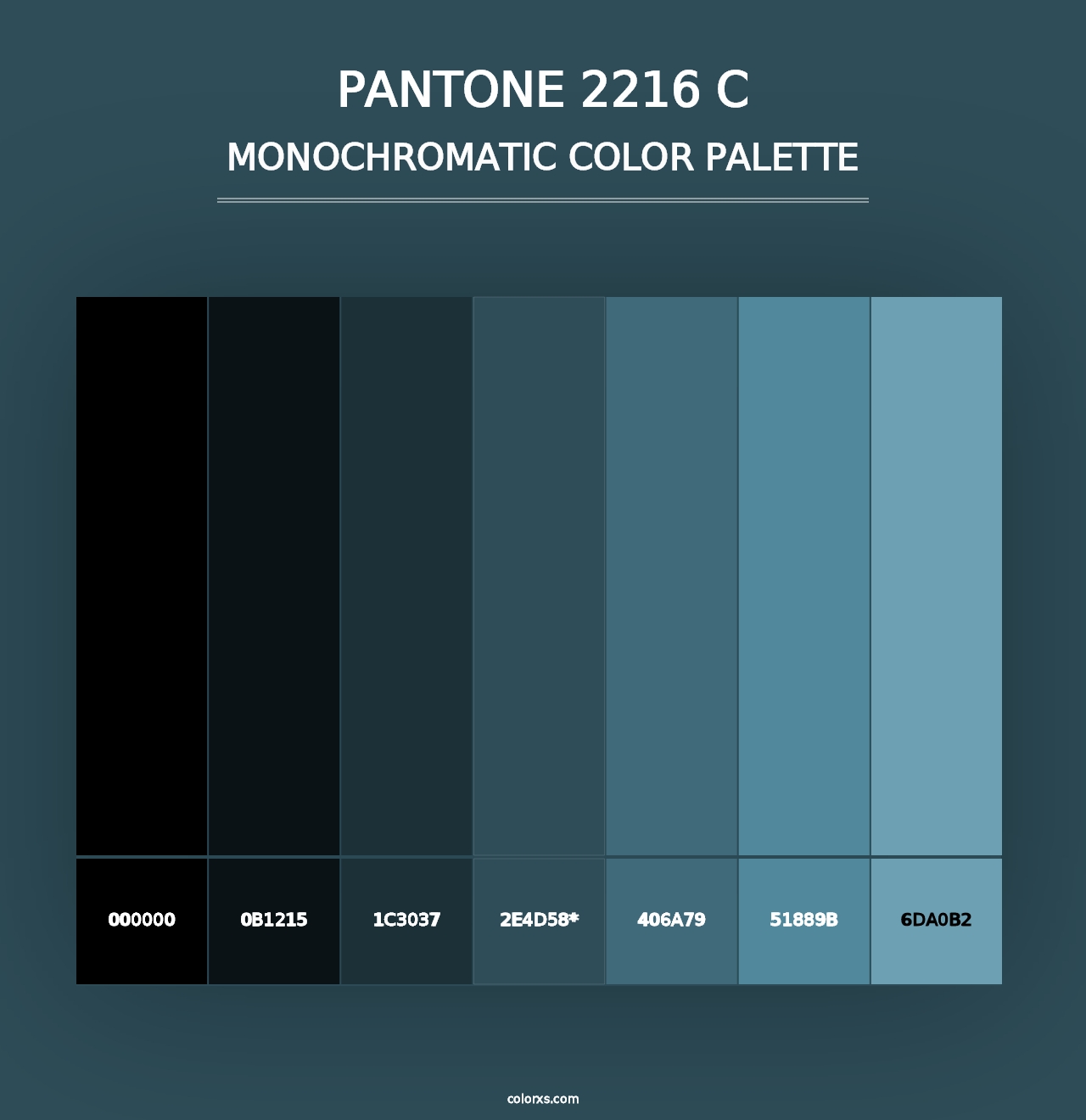 PANTONE 2216 C - Monochromatic Color Palette