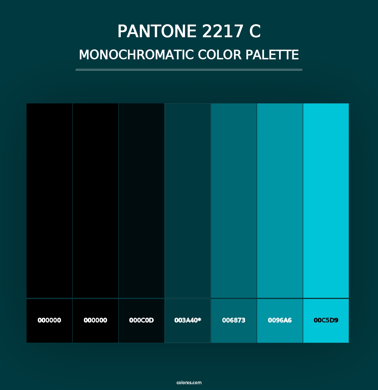 PANTONE 2217 C - Monochromatic Color Palette