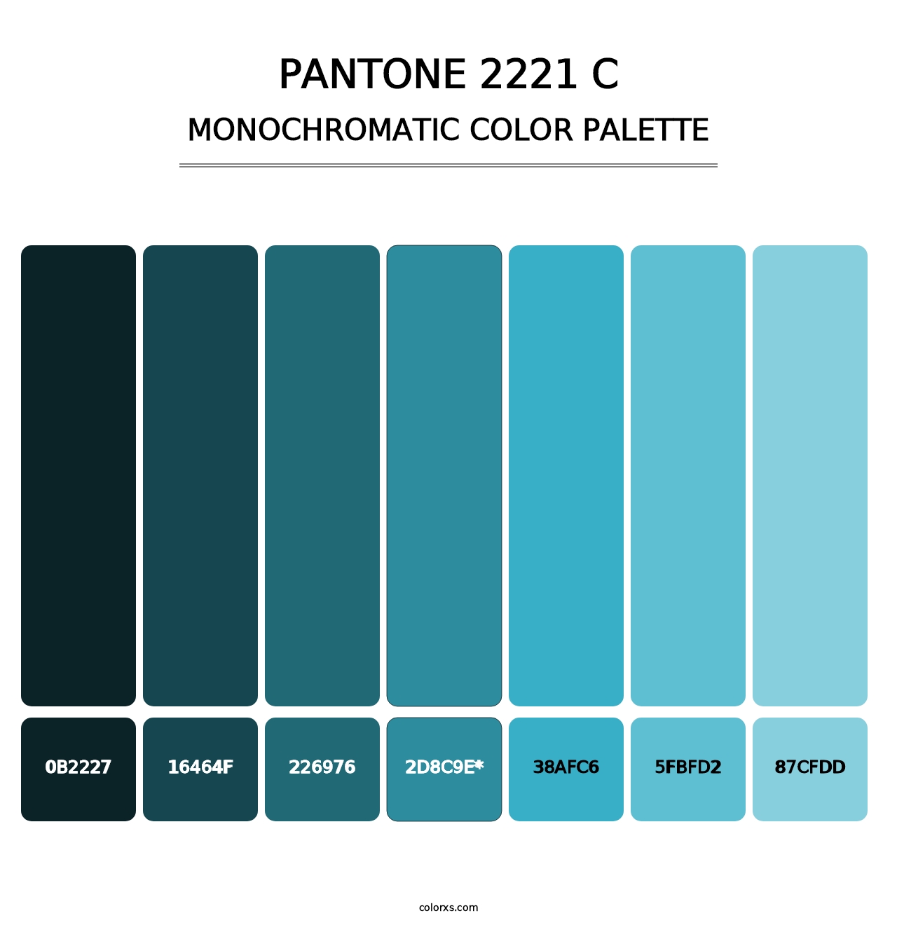 PANTONE 2221 C - Monochromatic Color Palette