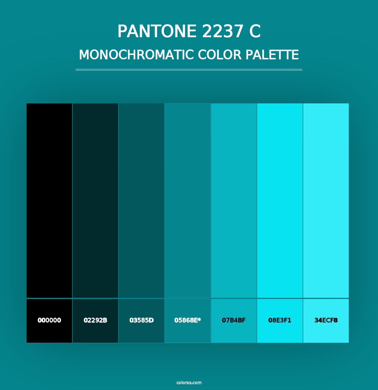 PANTONE 2237 C - Monochromatic Color Palette