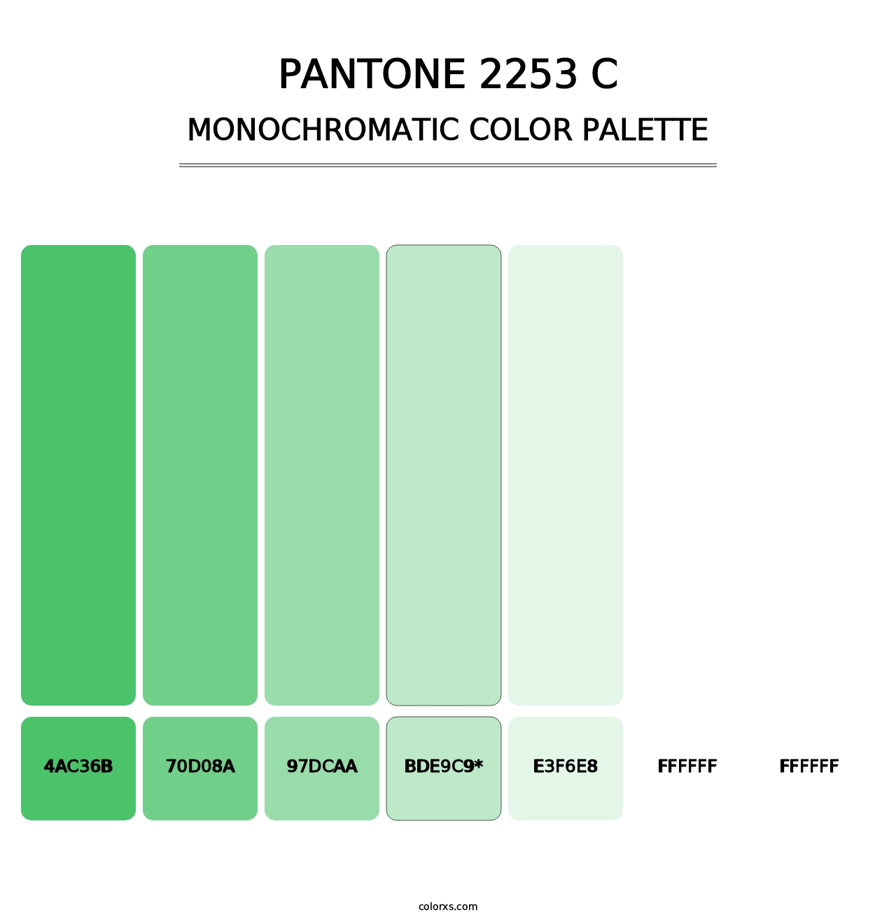 PANTONE 2253 C - Monochromatic Color Palette