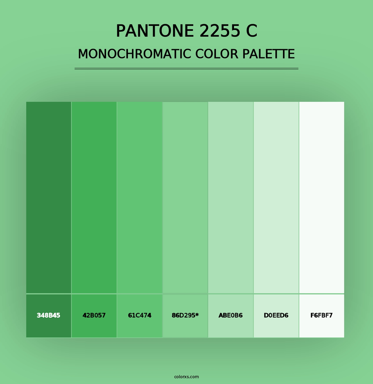 PANTONE 2255 C - Monochromatic Color Palette