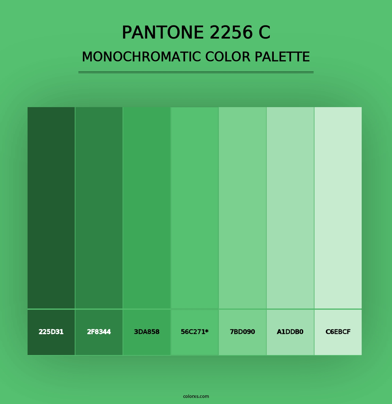 PANTONE 2256 C - Monochromatic Color Palette