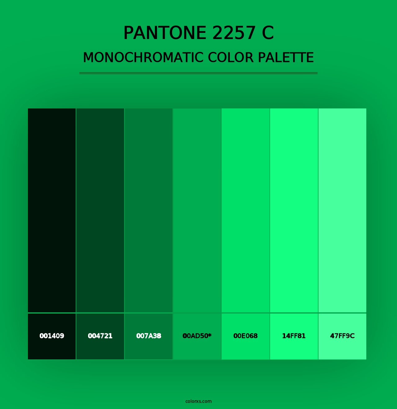 PANTONE 2257 C - Monochromatic Color Palette