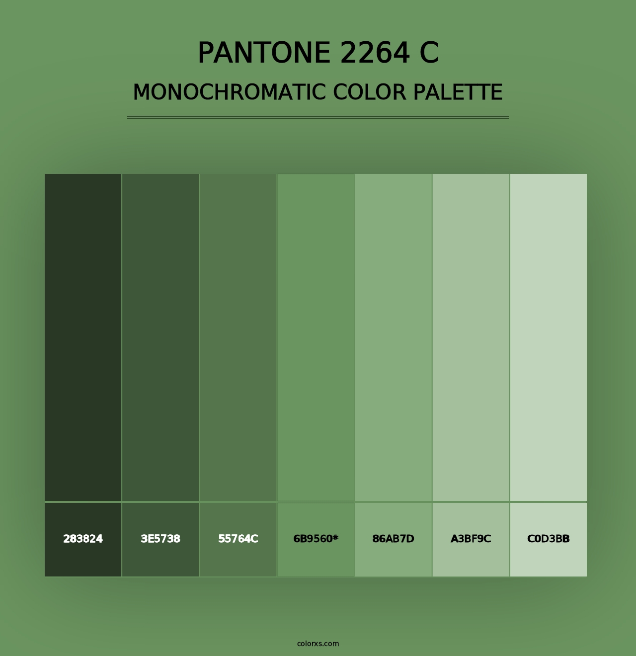 PANTONE 2264 C - Monochromatic Color Palette