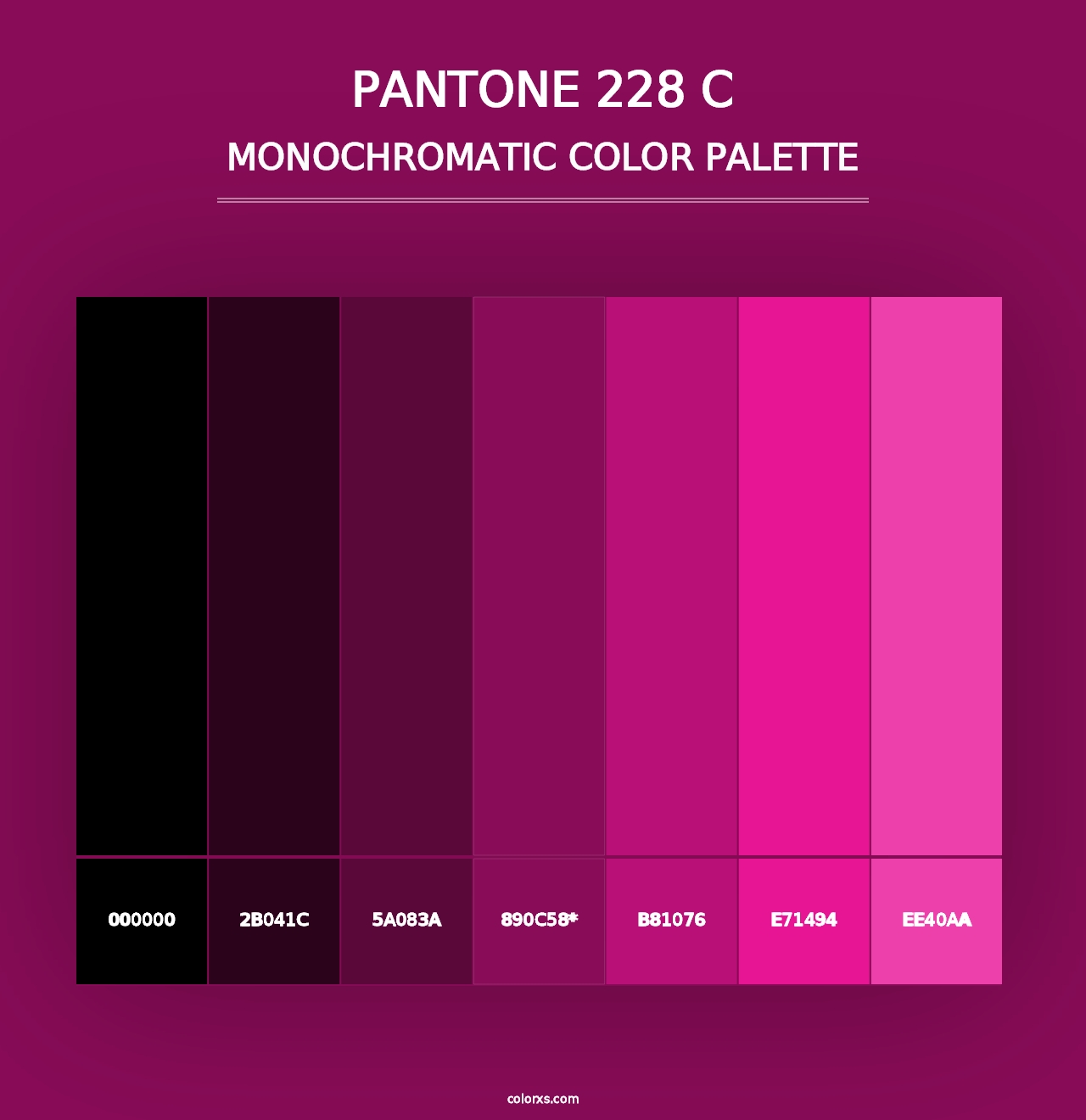 PANTONE 228 C - Monochromatic Color Palette