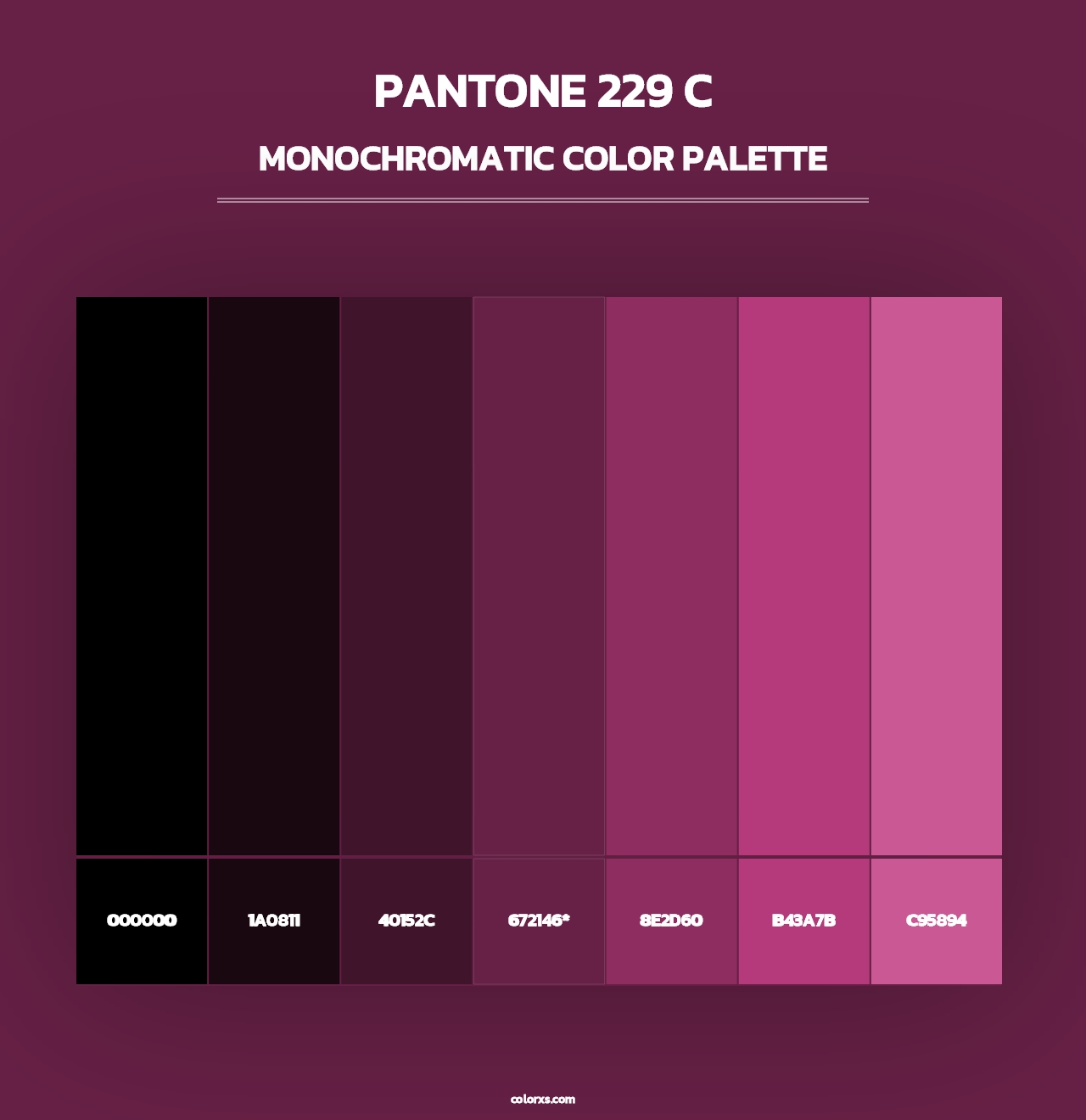 PANTONE 229 C - Monochromatic Color Palette