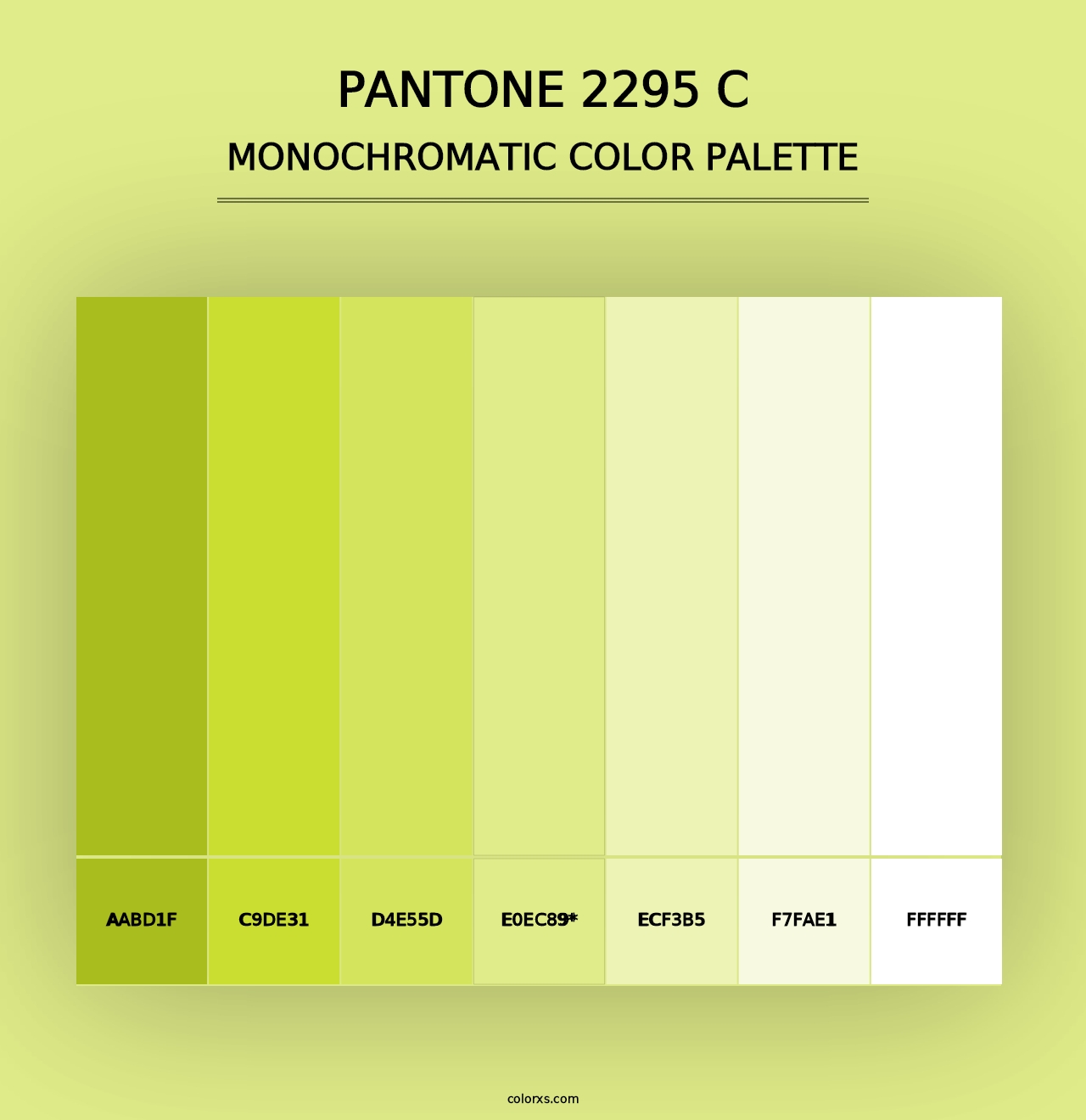 PANTONE 2295 C - Monochromatic Color Palette