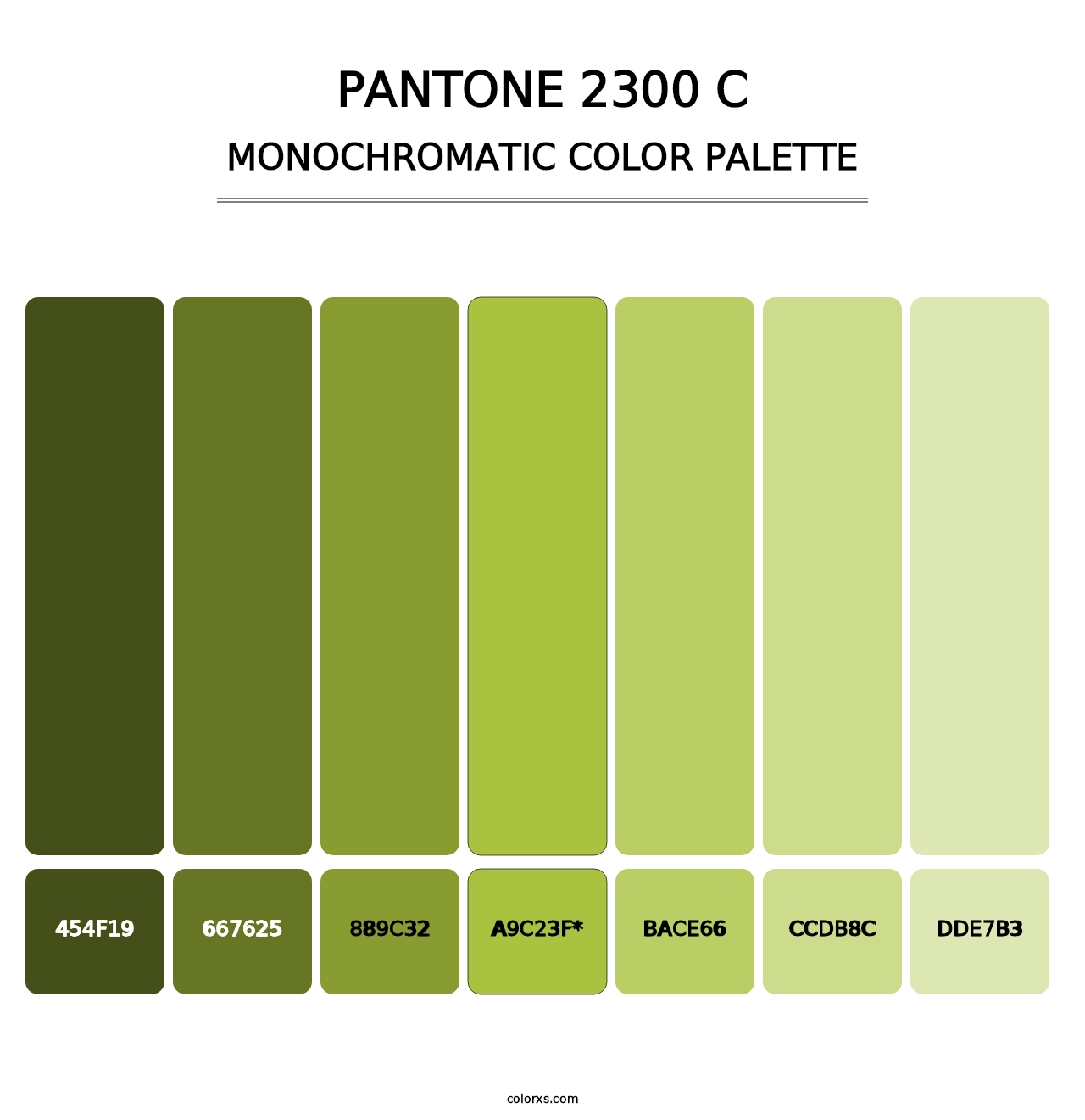 PANTONE 2300 C - Monochromatic Color Palette