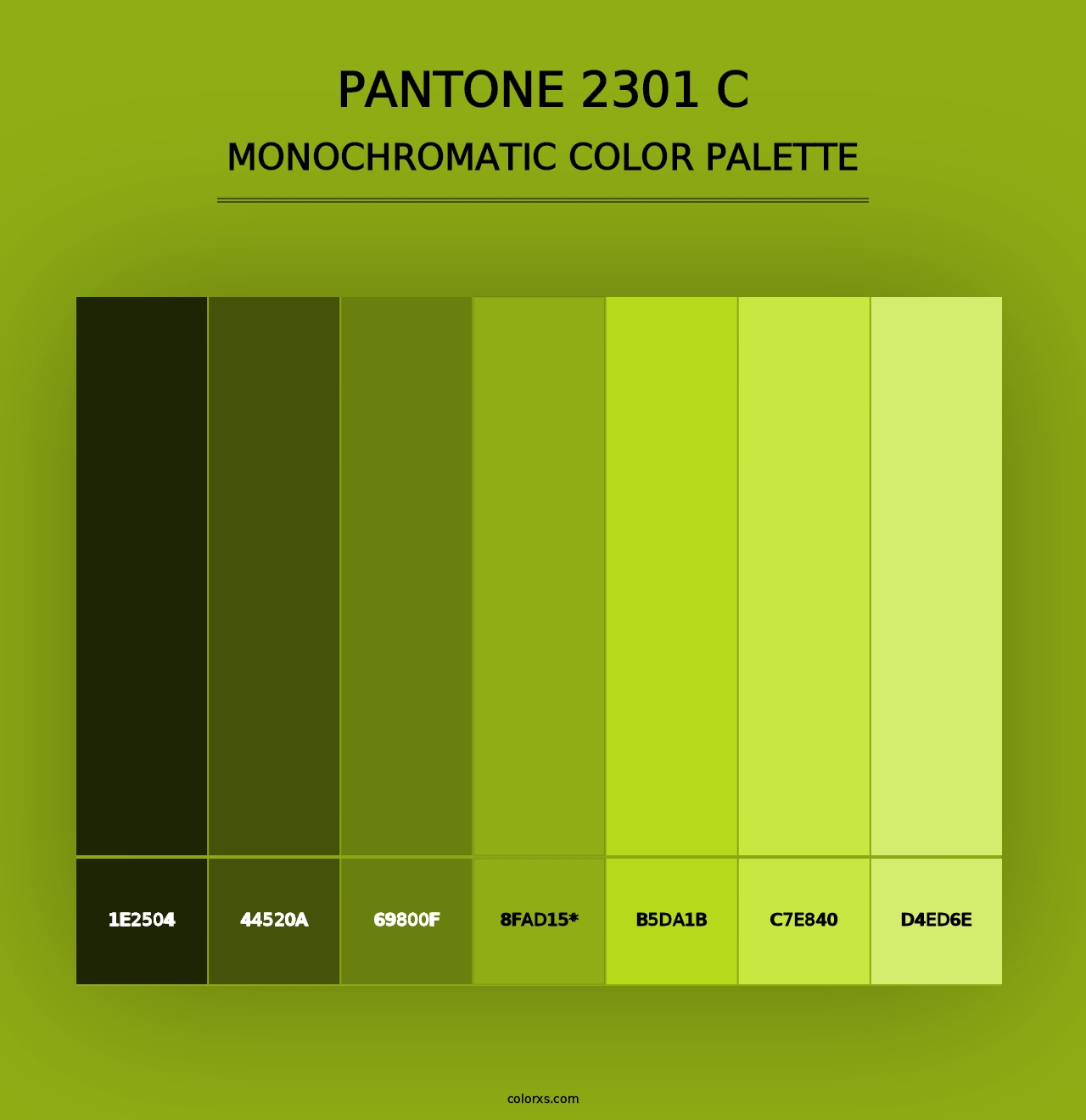 PANTONE 2301 C - Monochromatic Color Palette