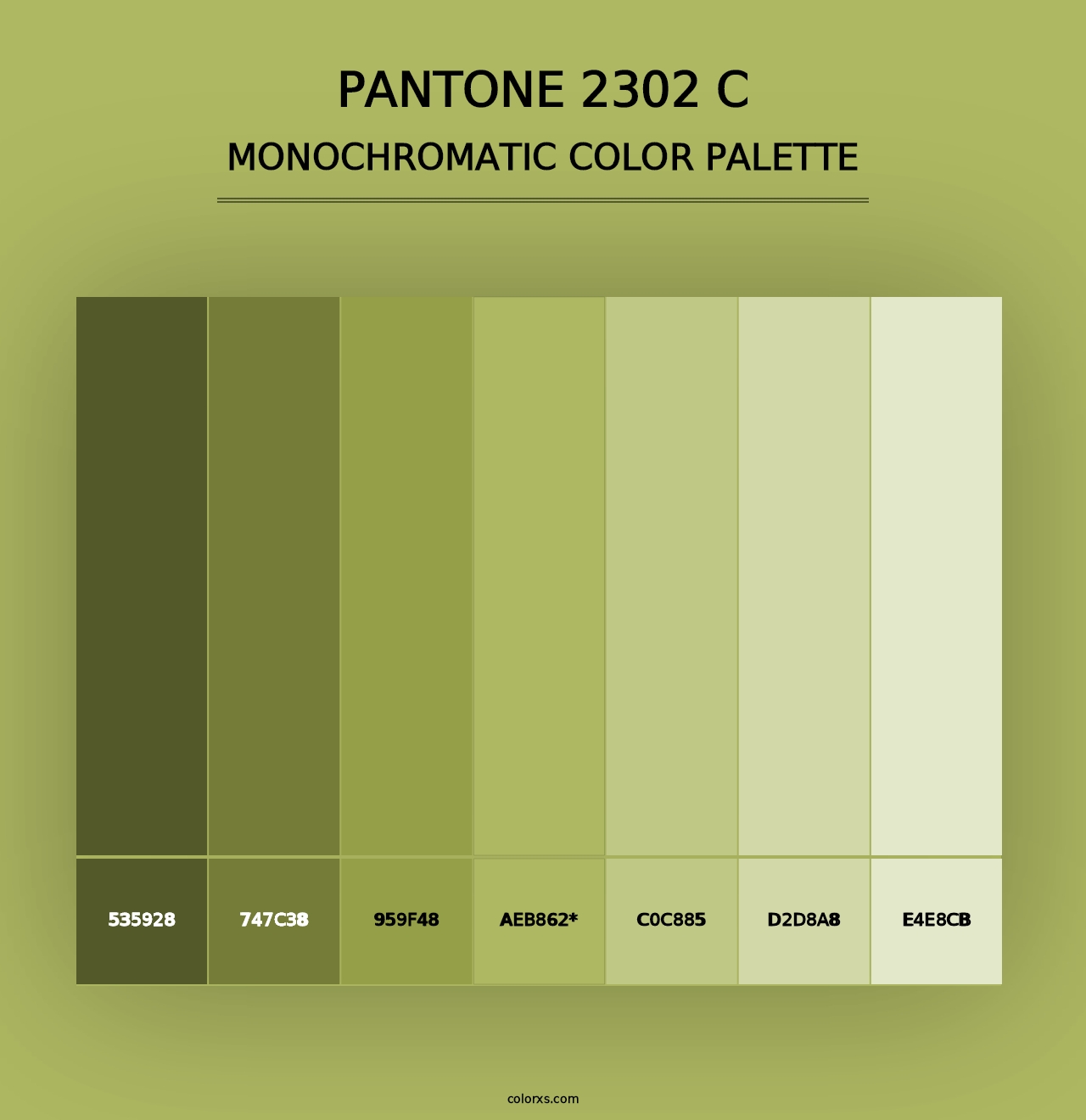 PANTONE 2302 C - Monochromatic Color Palette