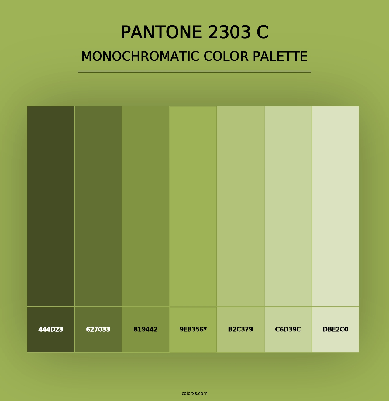 PANTONE 2303 C - Monochromatic Color Palette