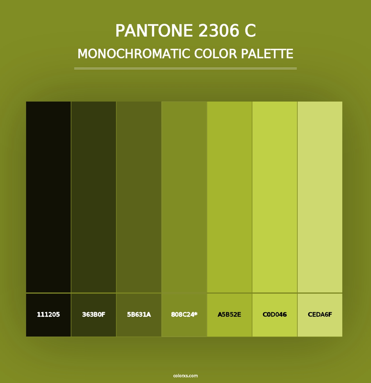 PANTONE 2306 C - Monochromatic Color Palette