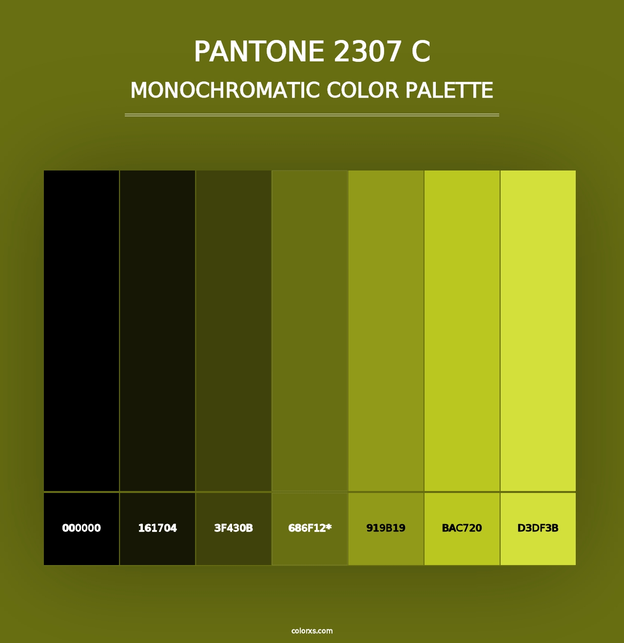 PANTONE 2307 C - Monochromatic Color Palette