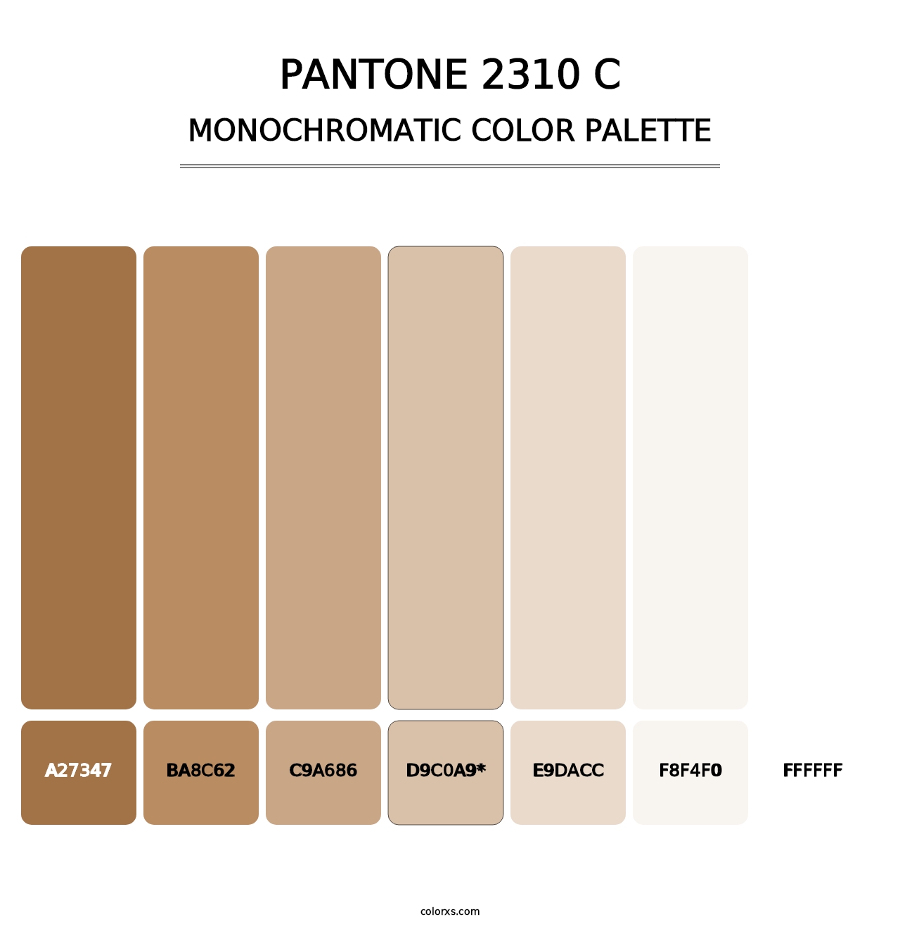 PANTONE 2310 C - Monochromatic Color Palette