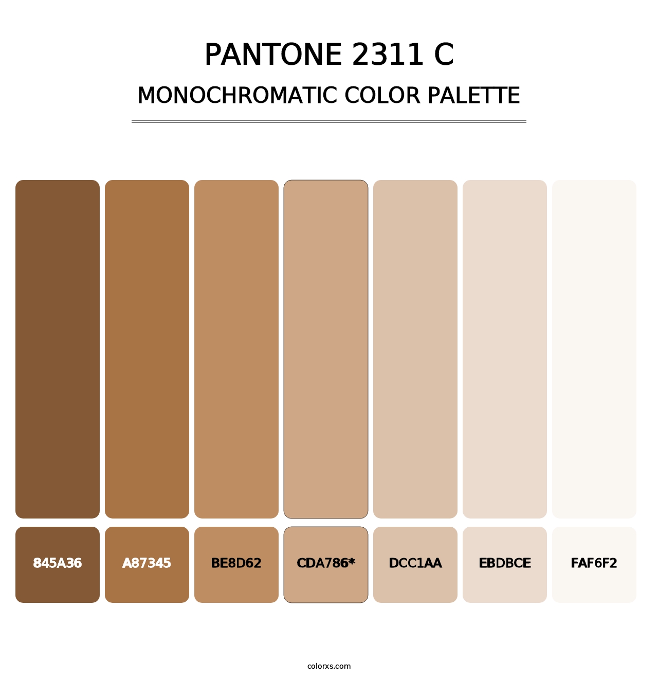 PANTONE 2311 C - Monochromatic Color Palette