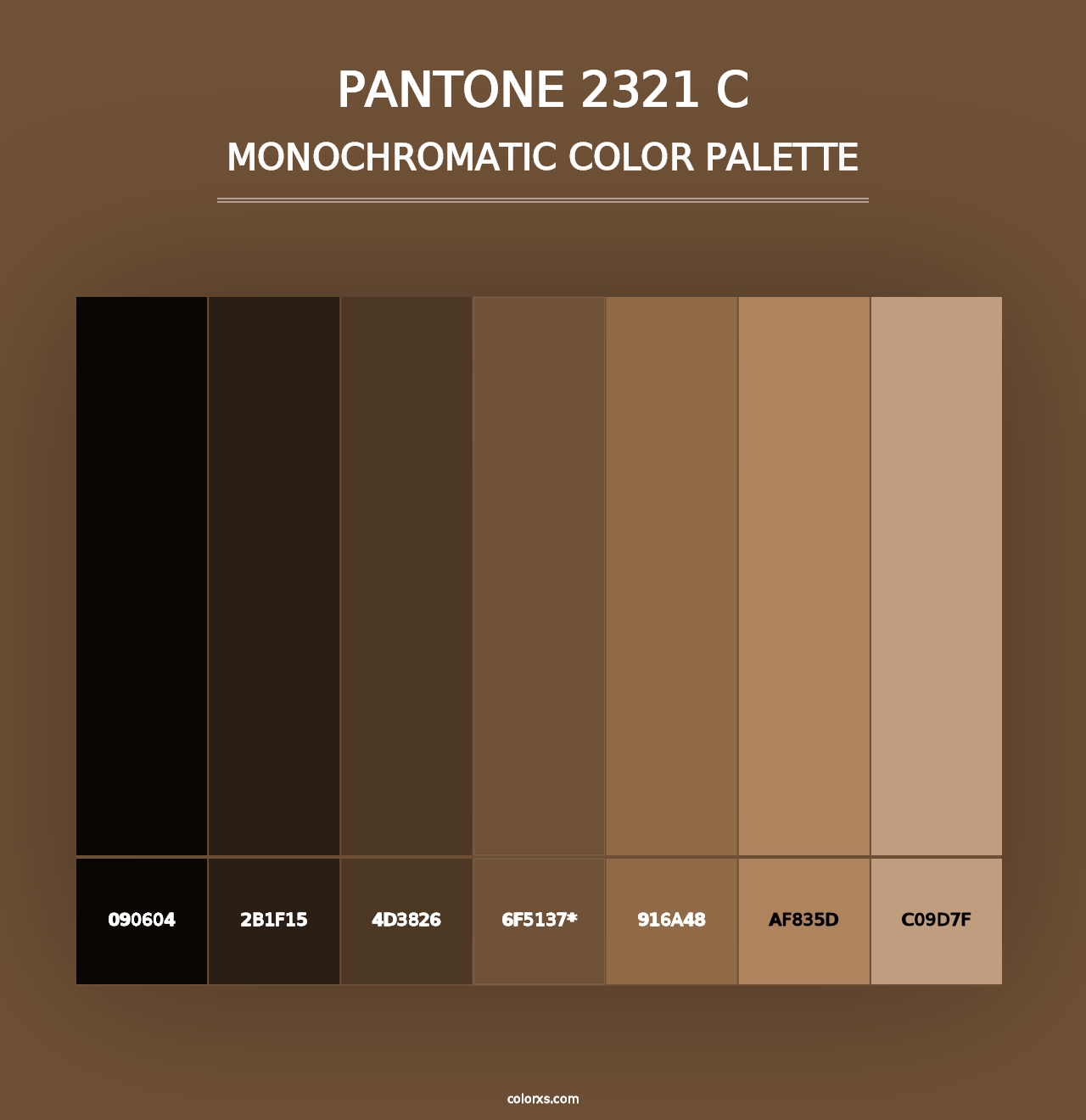 PANTONE 2321 C - Monochromatic Color Palette