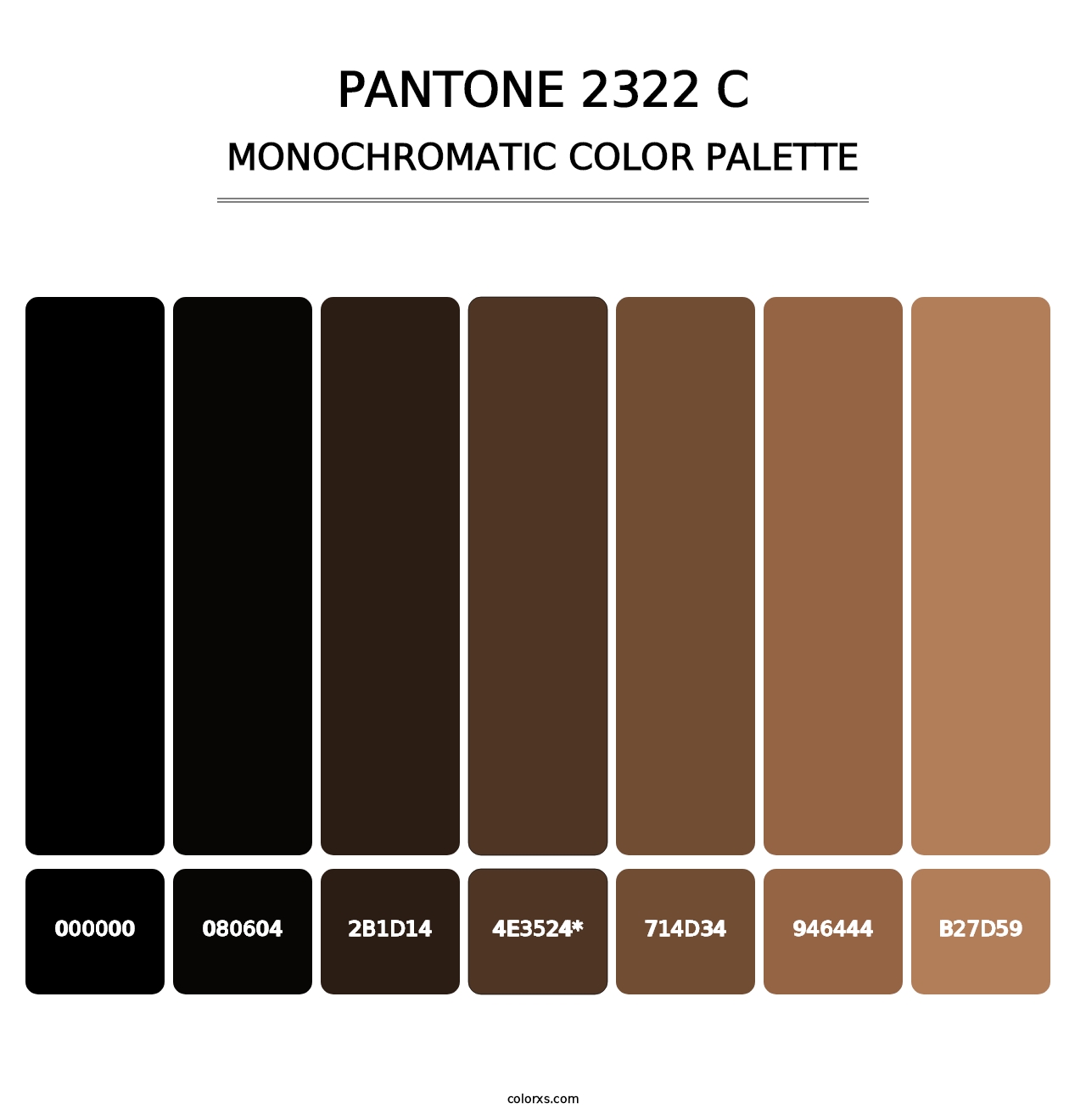 PANTONE 2322 C - Monochromatic Color Palette