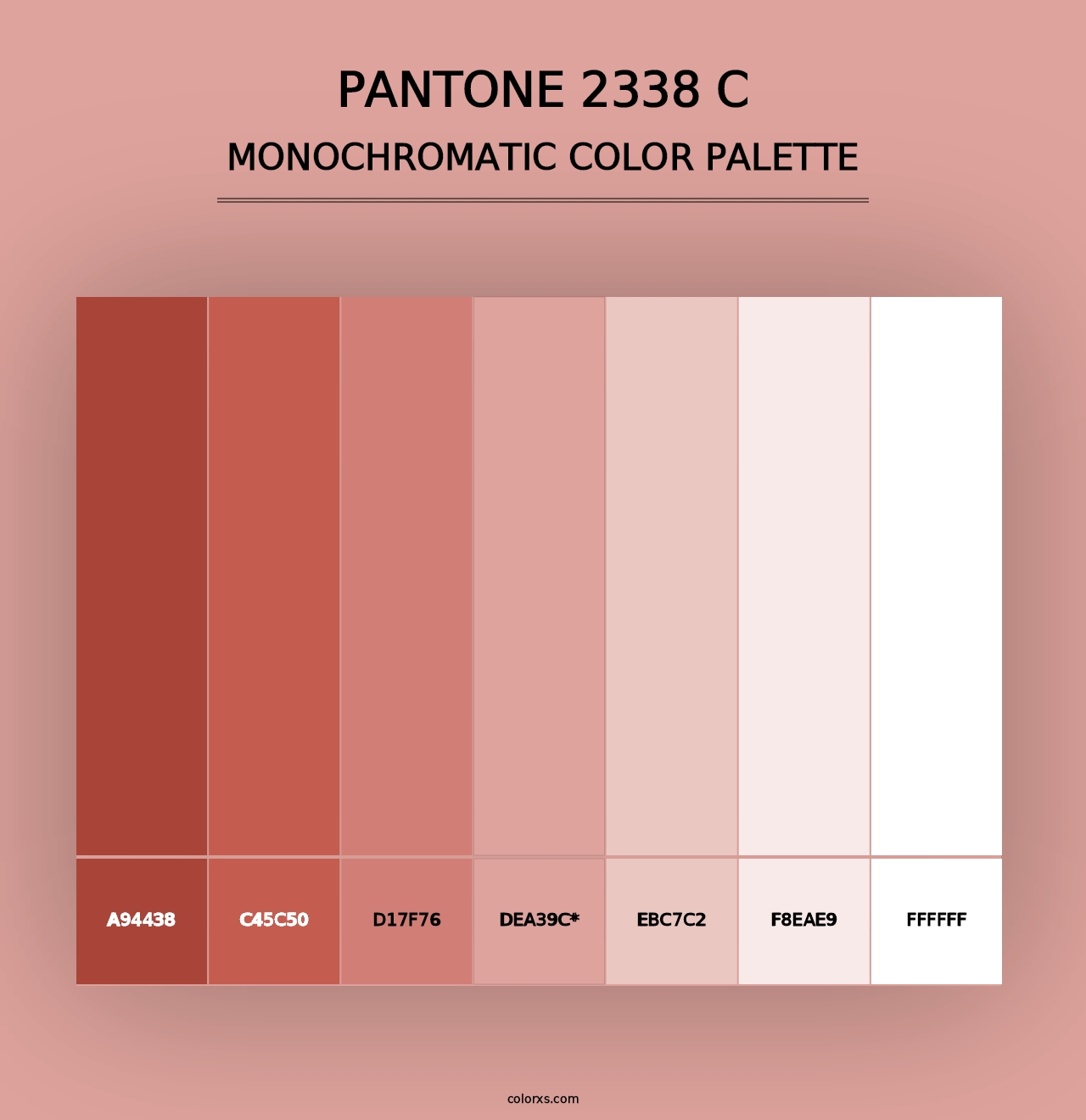 PANTONE 2338 C - Monochromatic Color Palette