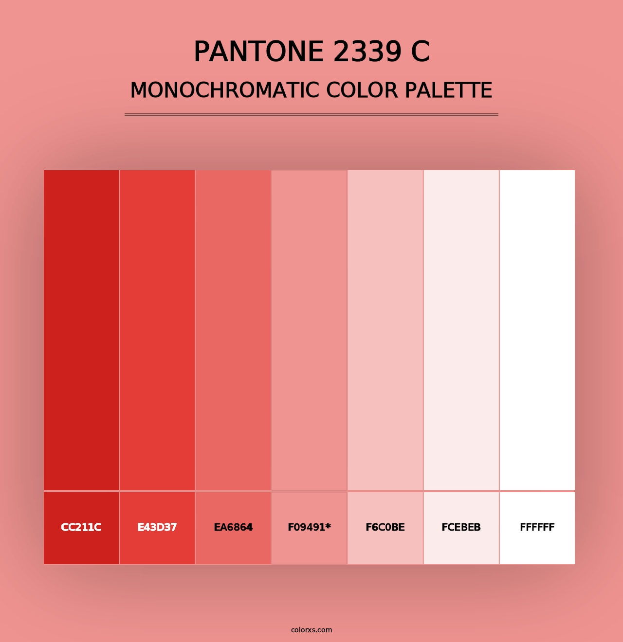 PANTONE 2339 C - Monochromatic Color Palette