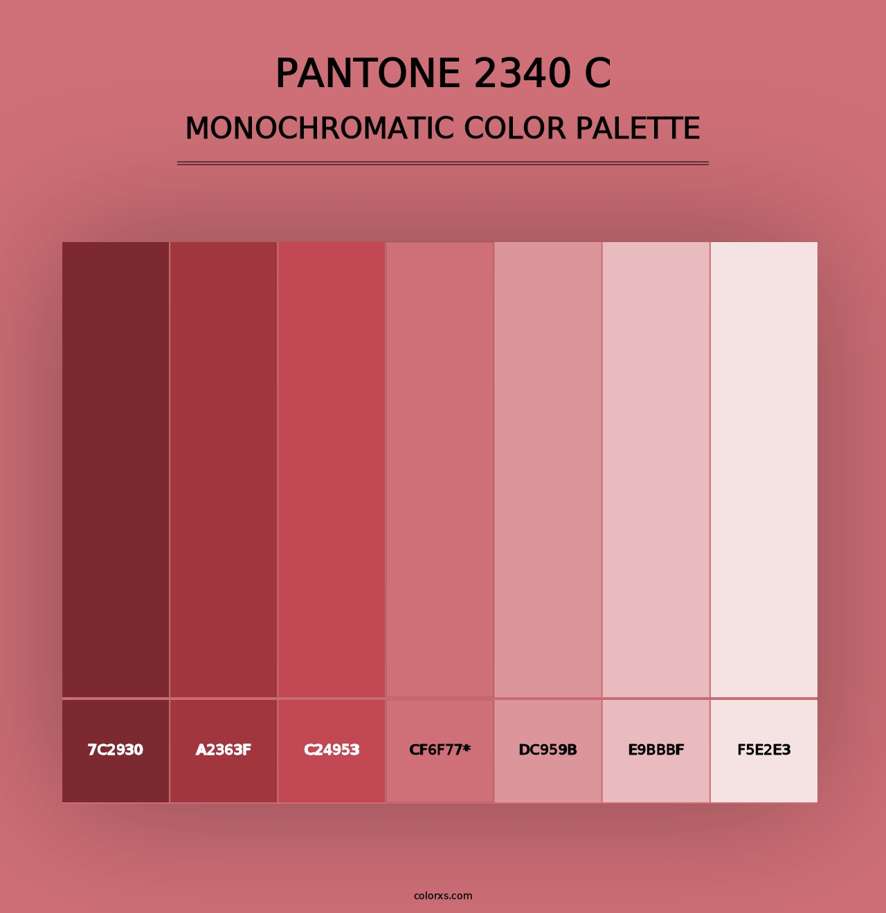 PANTONE 2340 C - Monochromatic Color Palette