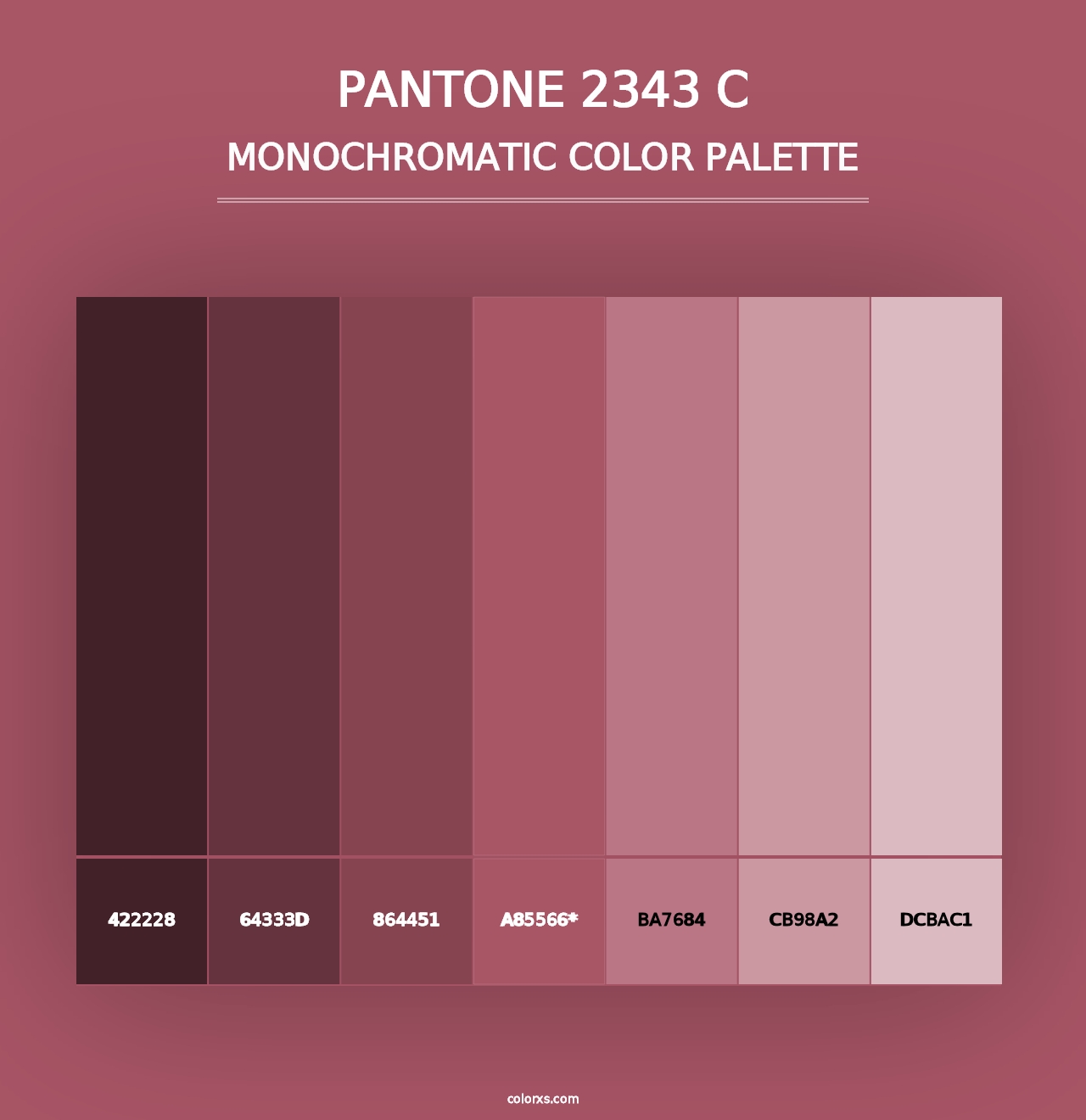 PANTONE 2343 C - Monochromatic Color Palette