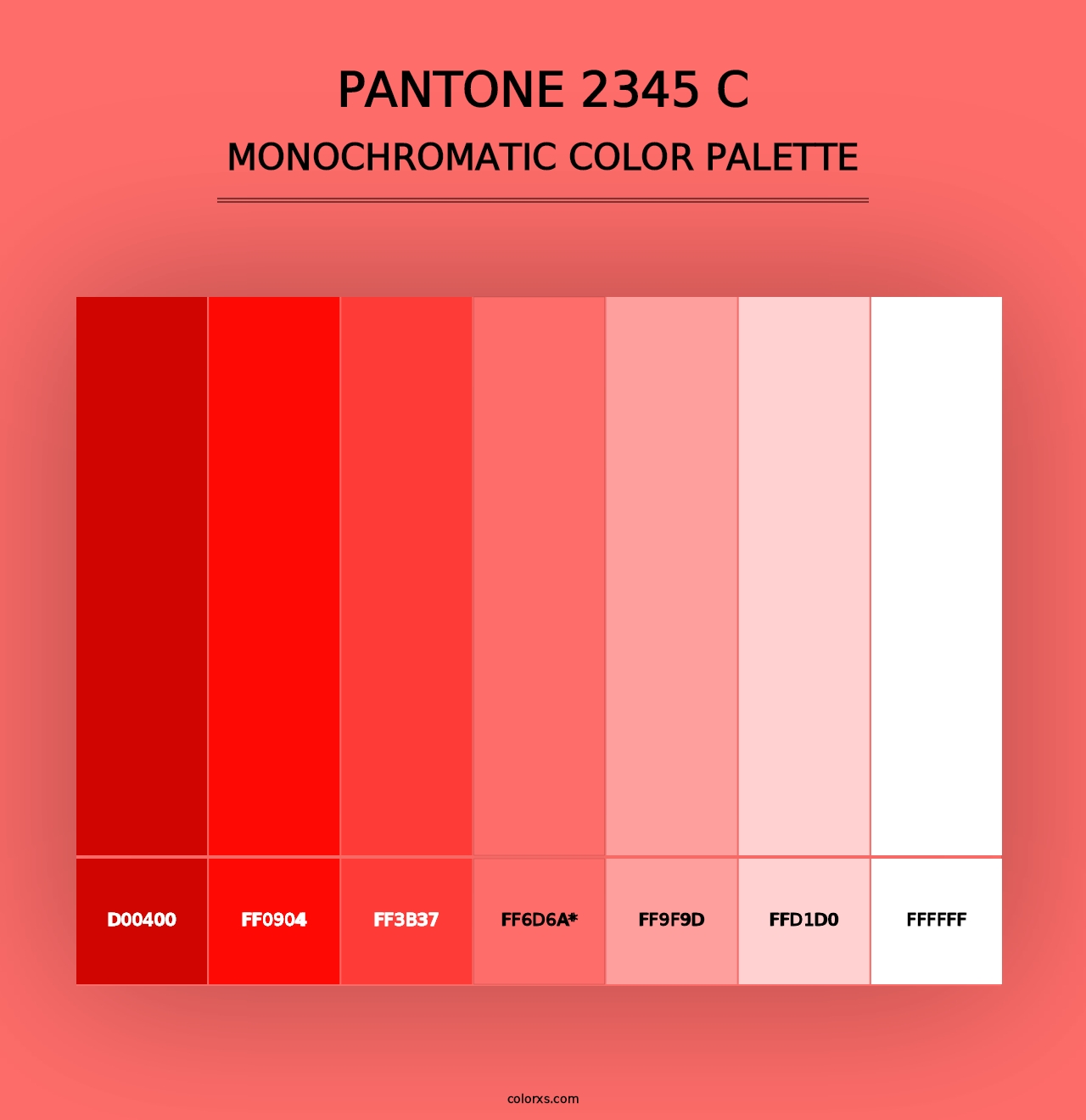 PANTONE 2345 C - Monochromatic Color Palette