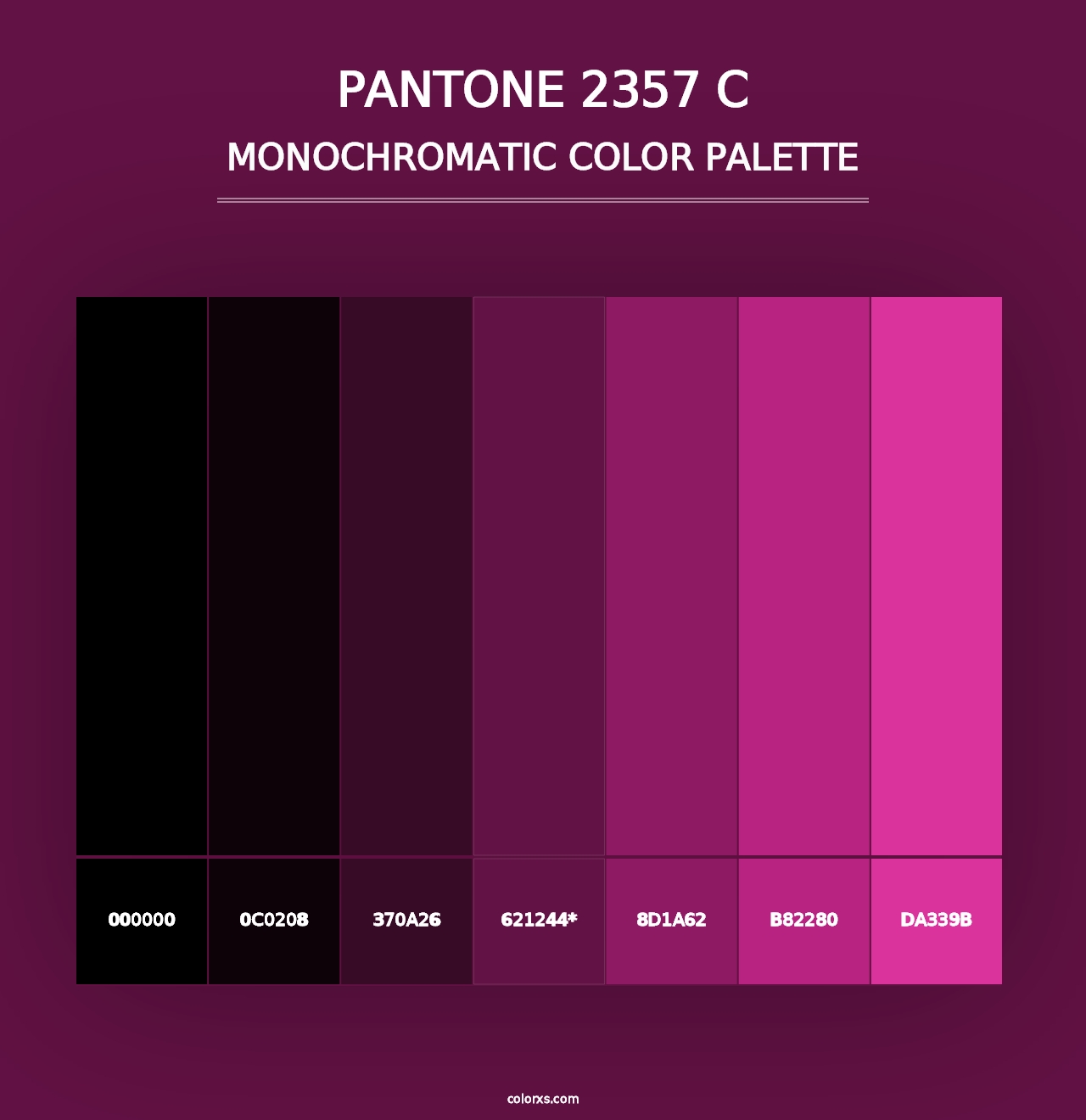 PANTONE 2357 C - Monochromatic Color Palette