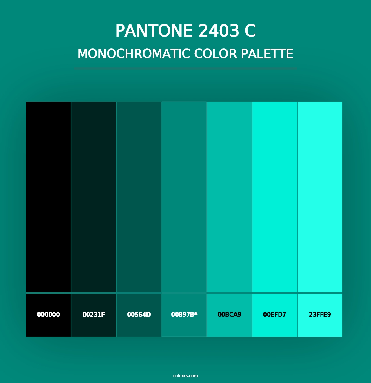 PANTONE 2403 C - Monochromatic Color Palette