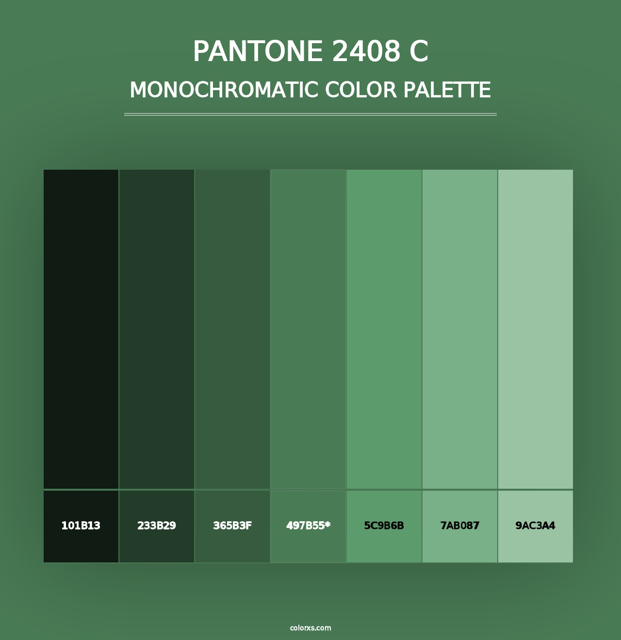 PANTONE 2408 C - Monochromatic Color Palette