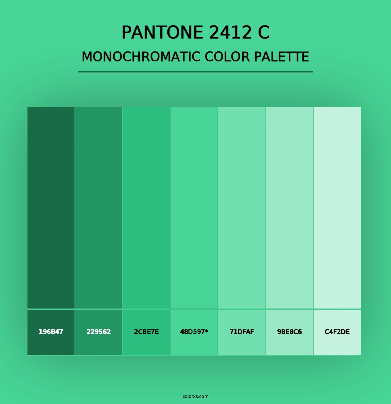 PANTONE 2412 C - Monochromatic Color Palette