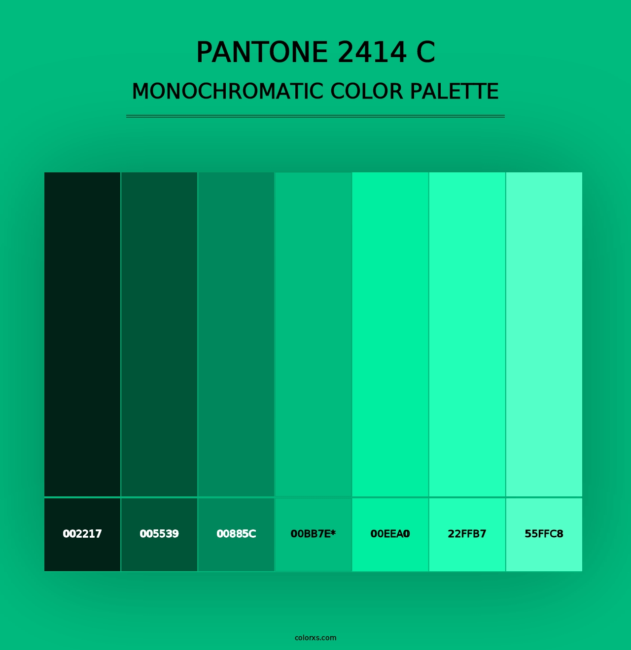 PANTONE 2414 C - Monochromatic Color Palette