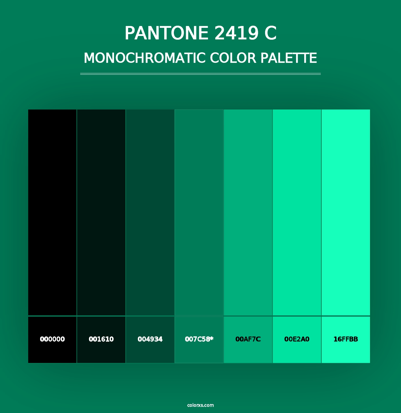 PANTONE 2419 C - Monochromatic Color Palette