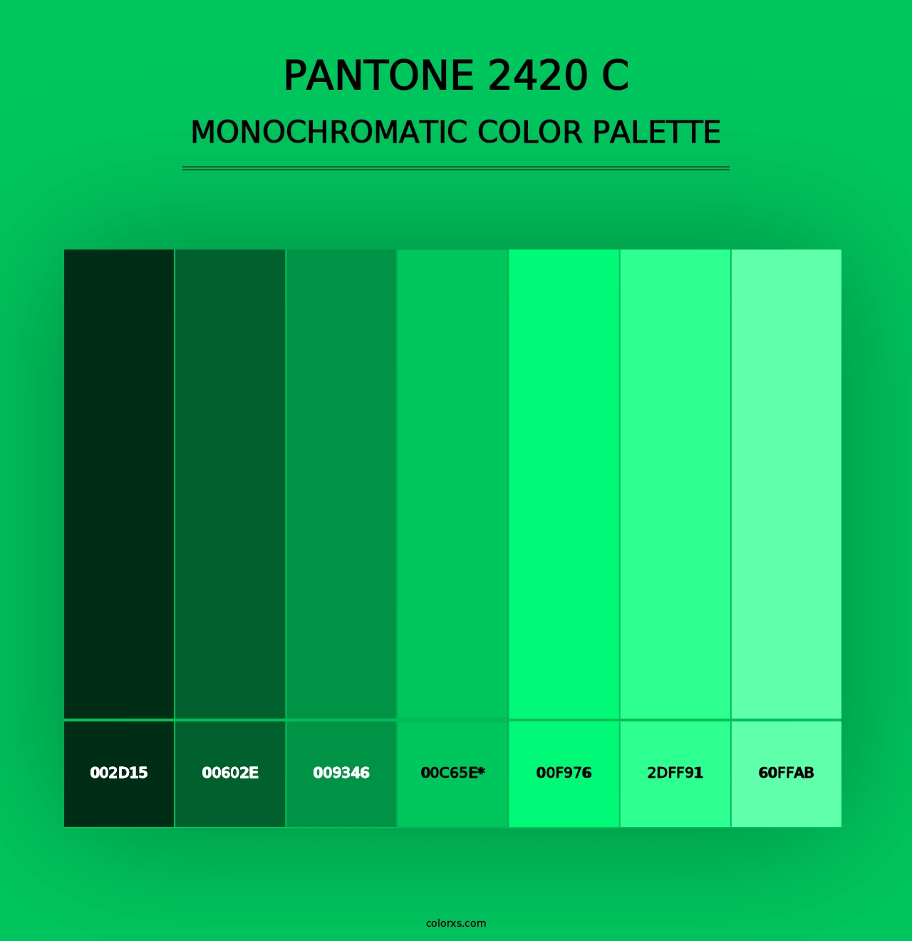 PANTONE 2420 C - Monochromatic Color Palette