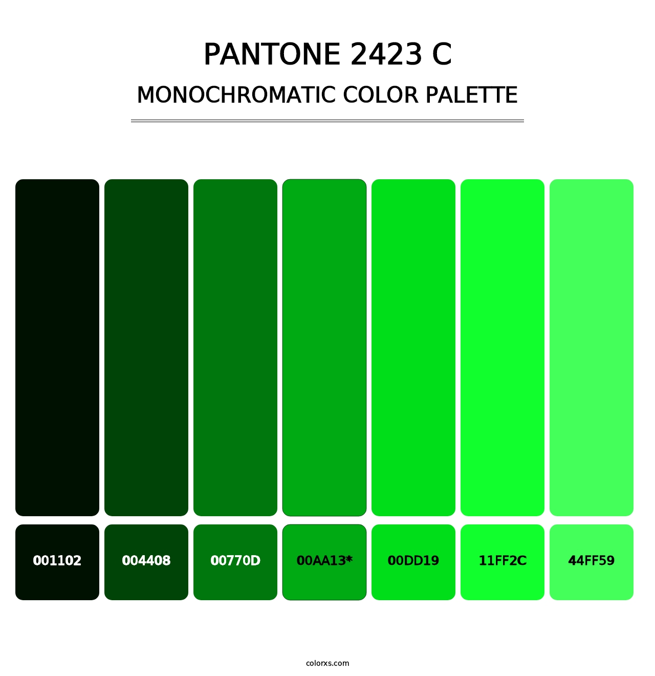 PANTONE 2423 C - Monochromatic Color Palette