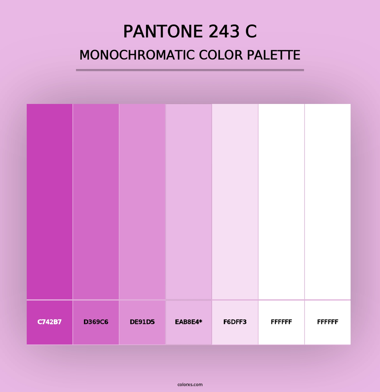 PANTONE 243 C - Monochromatic Color Palette